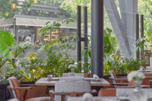 Sylvestre Midtown Terraza