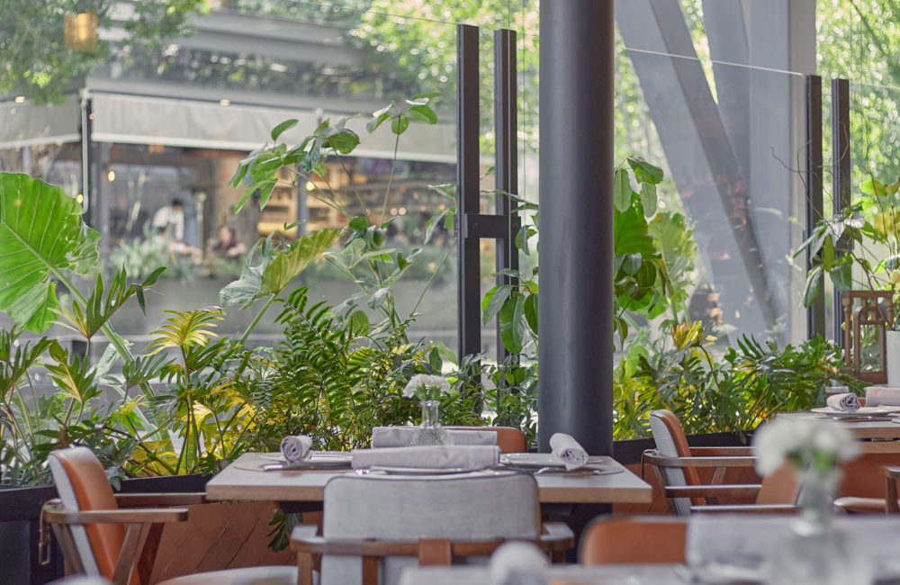 Sylvestre Midtown Terraza