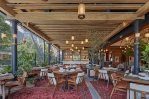 Sylvestre Midtown Terraza